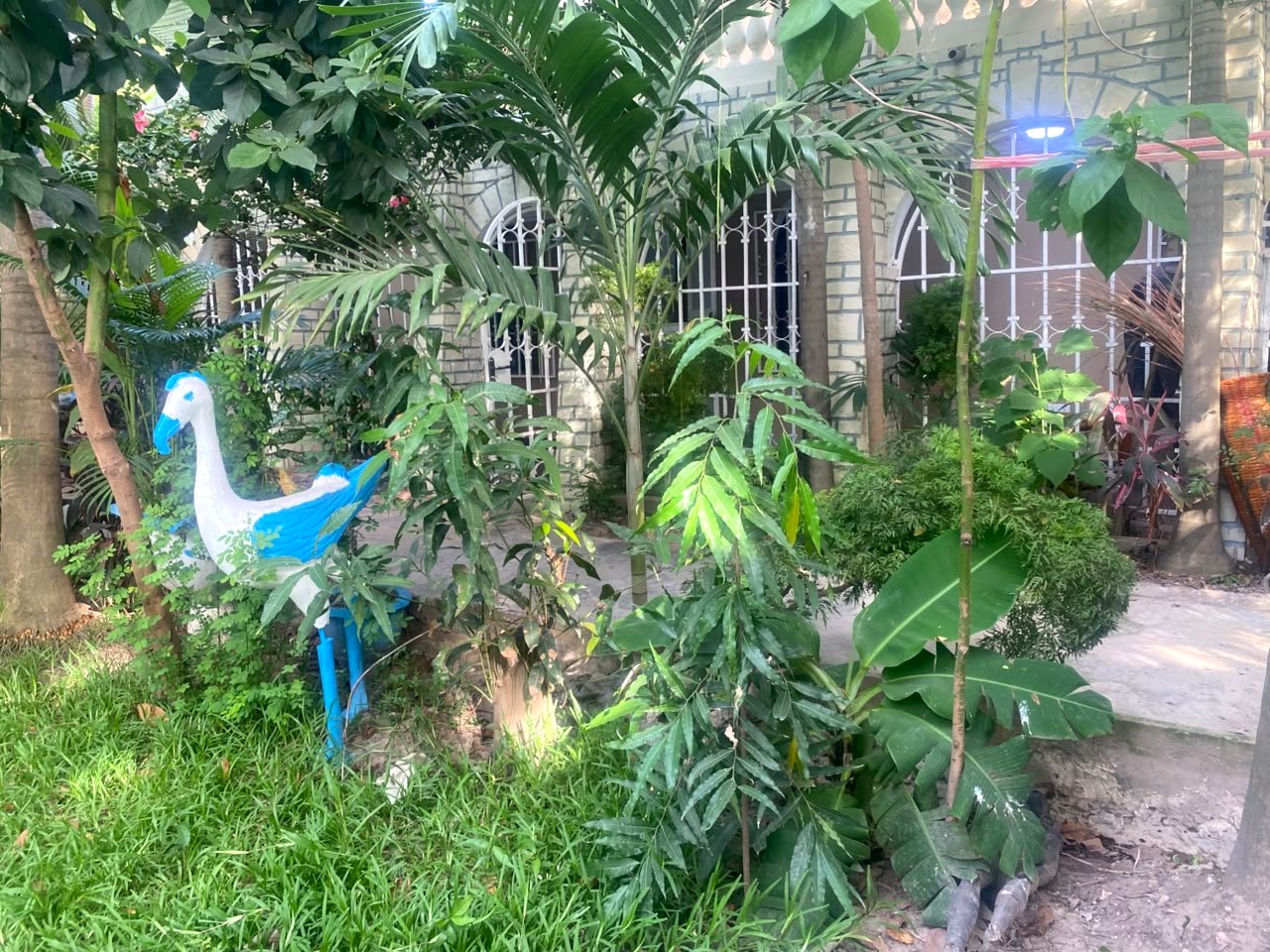 Garden in front of the Main House