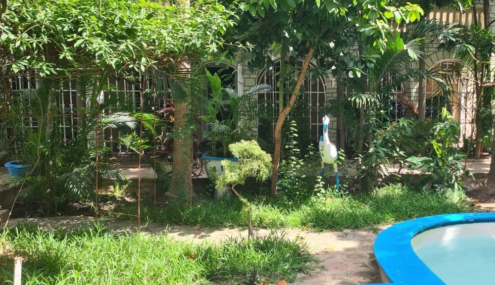 The Main House behind the garden