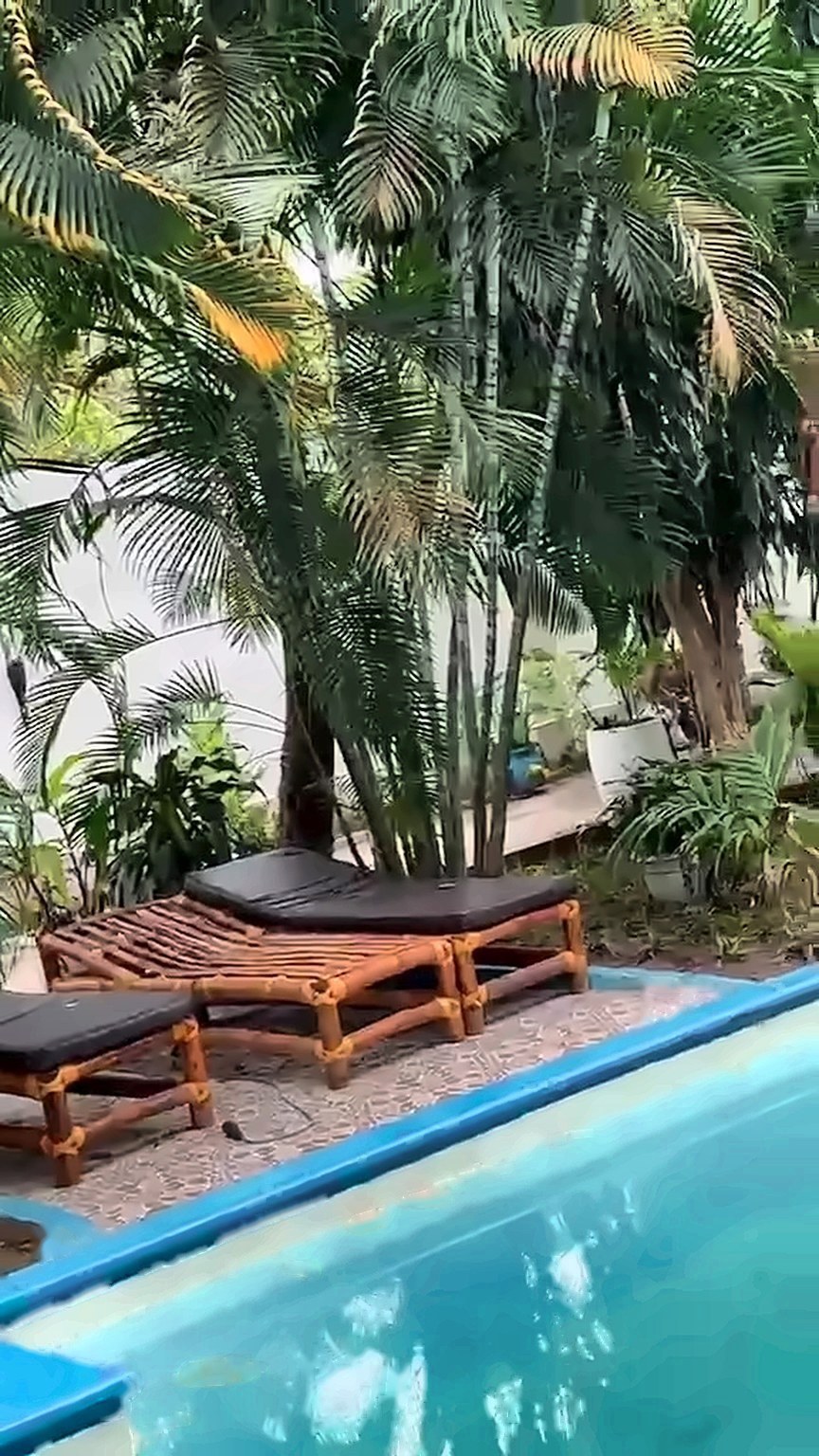 Sun loungers by the pool