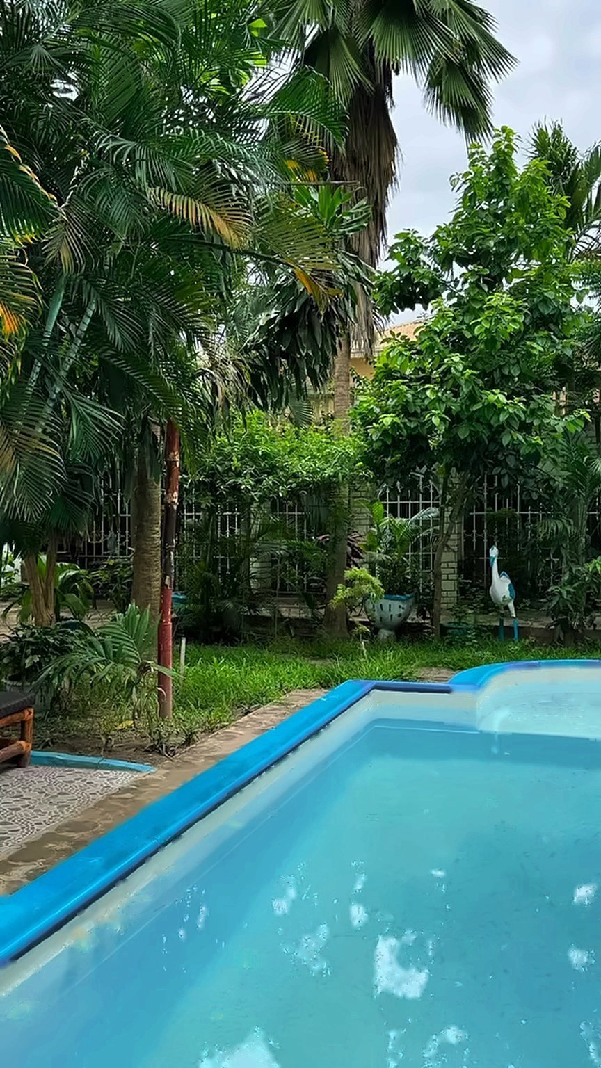 The pool under the palms
