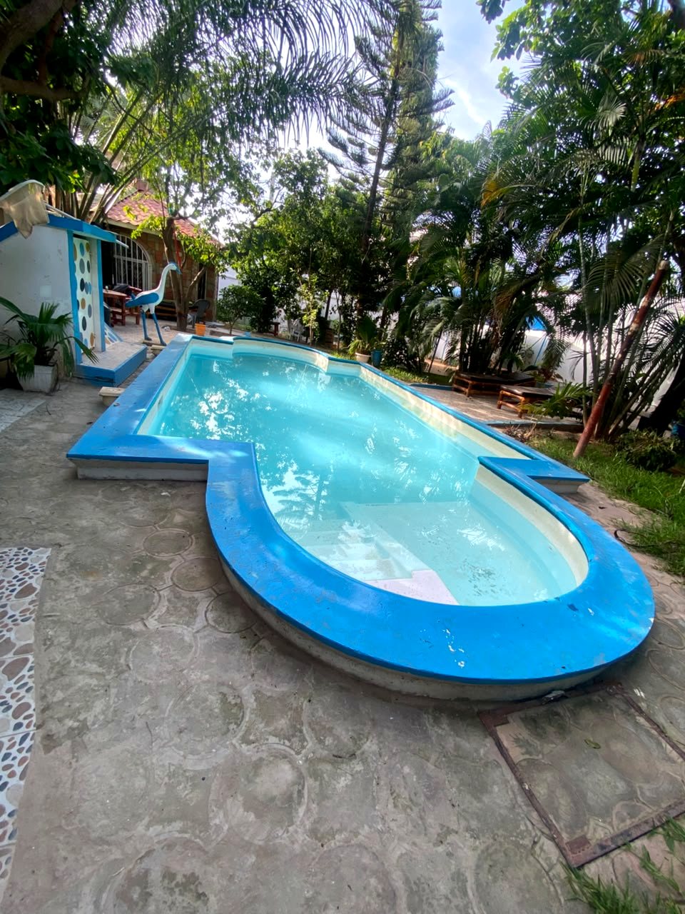 The pool from the terrace