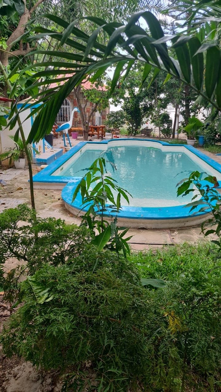 View through the garden to the pool